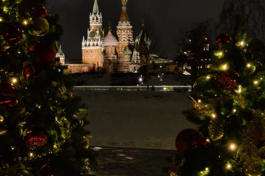 Excursion with a New Year's mood. Walk in Zaryadye Park. Excursion in the center