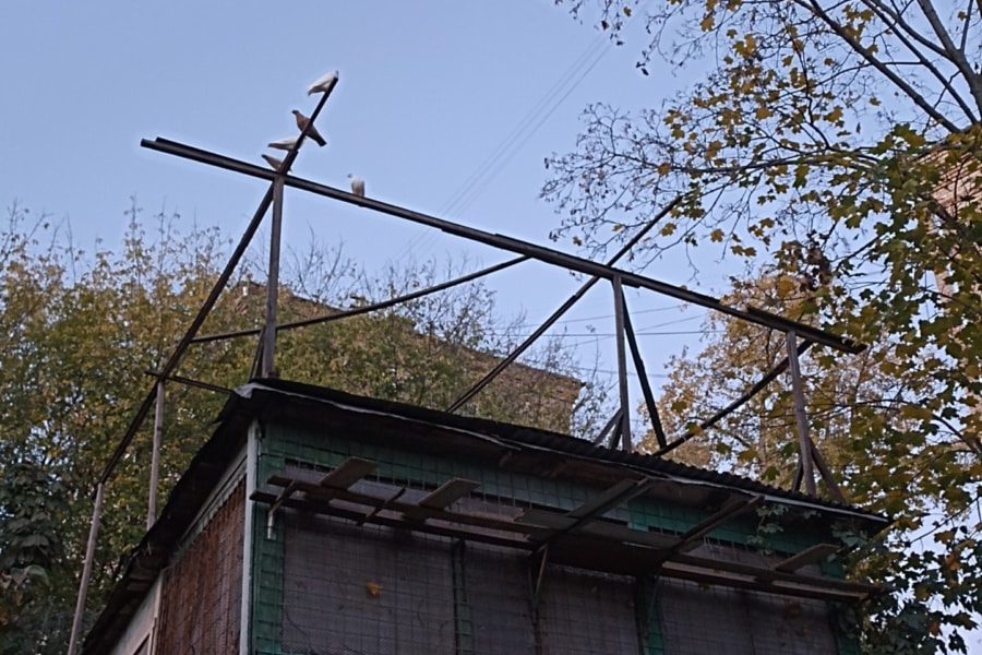 Dovecote on Three Mountains. Atmospheric excursion with a private guide