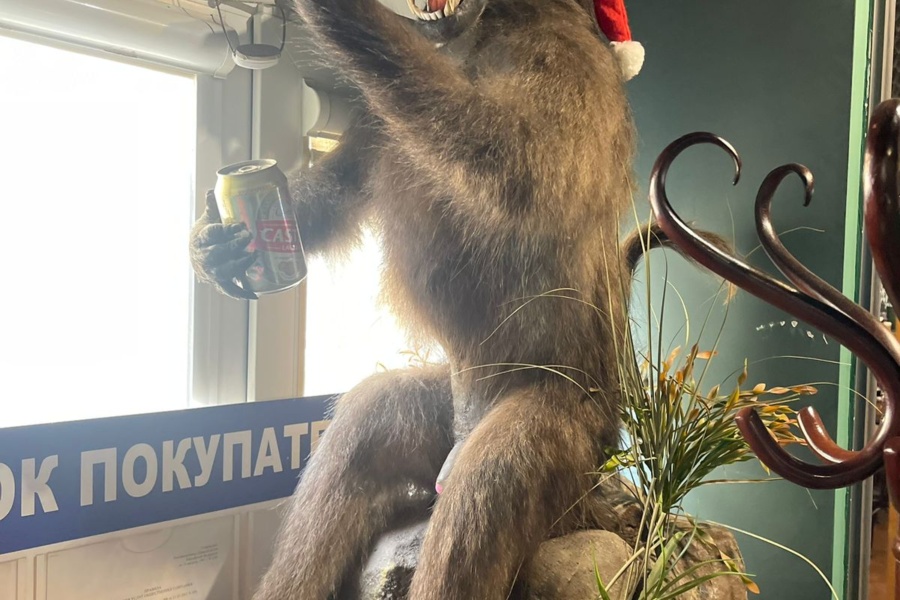 Bars in Moscow on a tour "Hot spots"