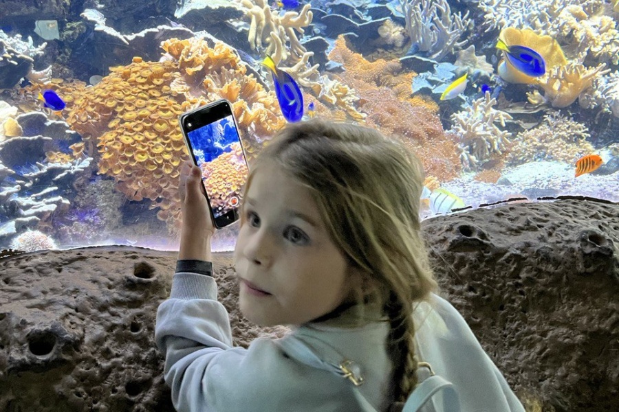 Яркие рыбы на экскурсии по "Москвариуму"