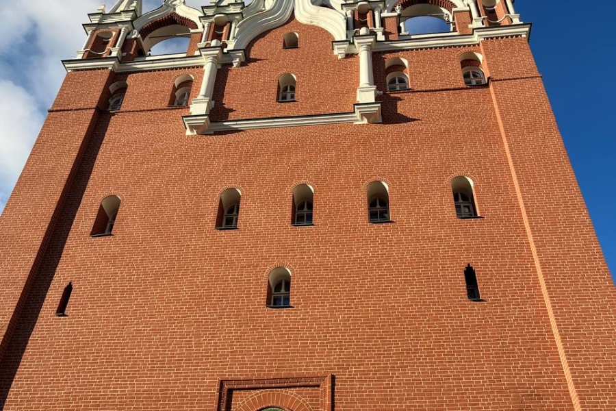 Гости на прогулке по Кремлю. Троицкая башня