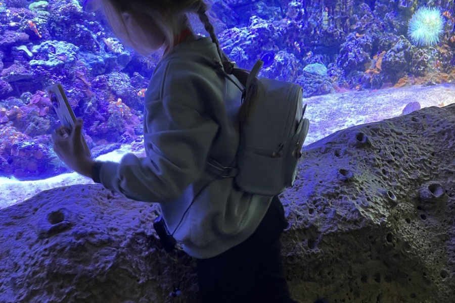 Подводный мир "Москвариума" на ВДНХ