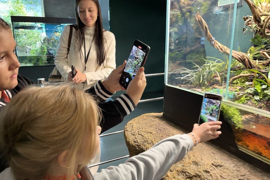 Успеть заснять красоту. Подводный мир океанариума ВДНХ