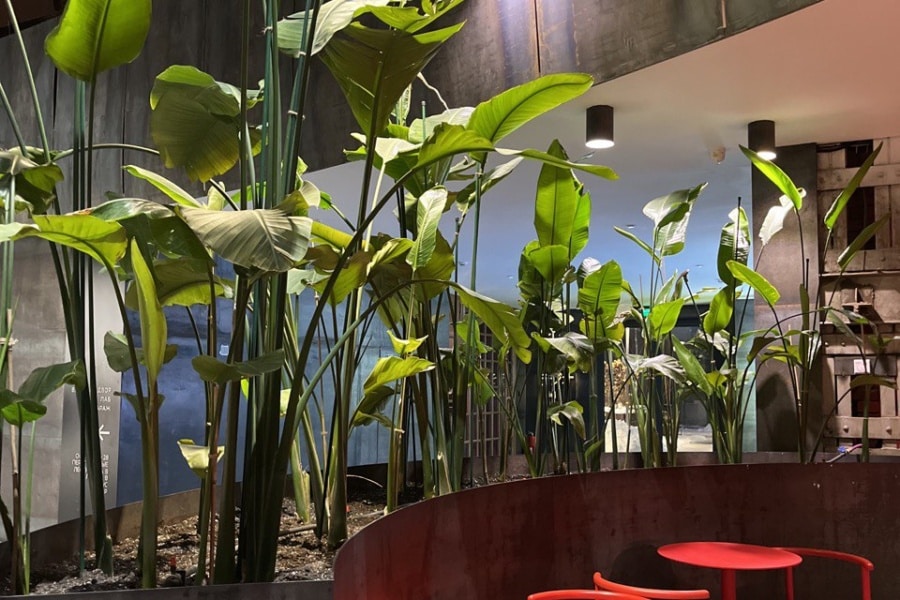 Гиды открывают новые пространства для кофейных пауз во время пеших экскурсий