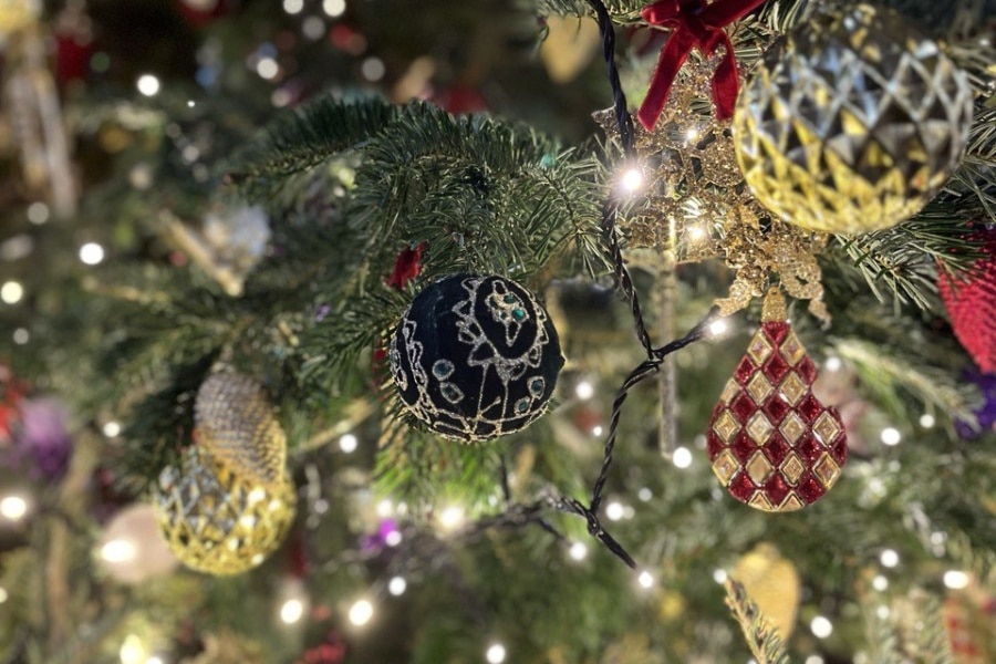 Путешествие в Рождество для гидов началось!