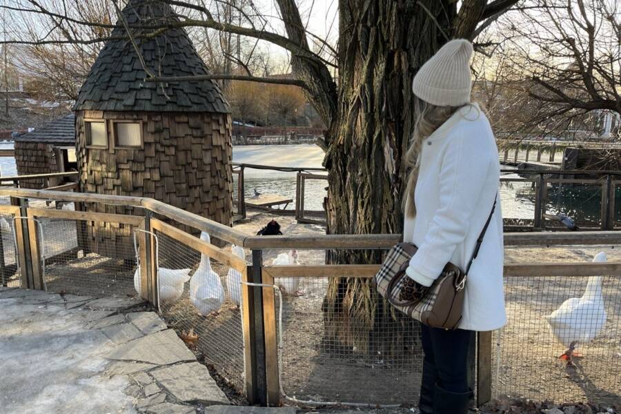 Ферма ВДНХ. Индивидуальная экскурсия на английском языке