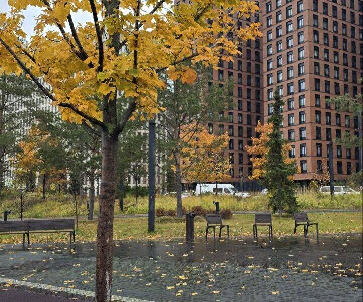 Осенние виды Москвы в современных кварталах ЗилАрт. Прогулка с гидом по столице для девелоперов Московская осень в новых кварталах ЗилАрт. Экскурсия для девелоперов по Москве