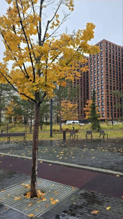 Осенние виды Москвы в современных кварталах ЗилАрт. Прогулка с гидом по столице для девелоперов Московская осень в новых кварталах ЗилАрт. Экскурсия для девелоперов по Москве