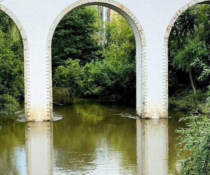 Ростокинский акведук близ ВДНХ — знаковая достопримечательность района. Экскурсия для застройщика и его клиентов