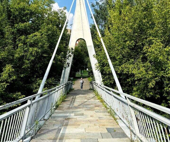 Экскурсия по району Ростокино и Ботанического сада