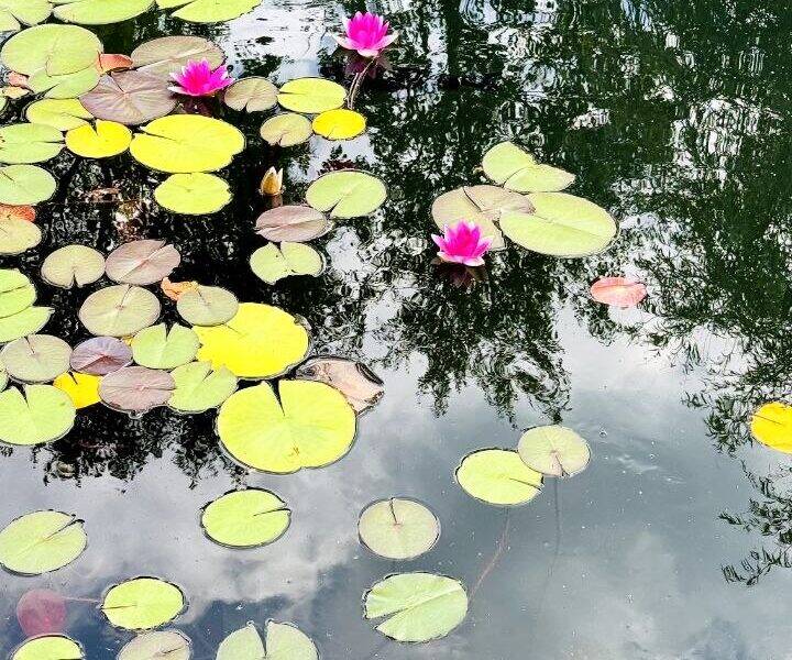 Экскурсия по району ВДНХ