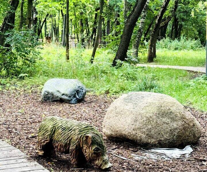 Экскурсия по окрестностям ЖК "Родина Парк" для клиентов и крупного застройщика. Экскурсия по окрестностям ЖК "Родина Парк" для крупного застройщика и его клиентов.