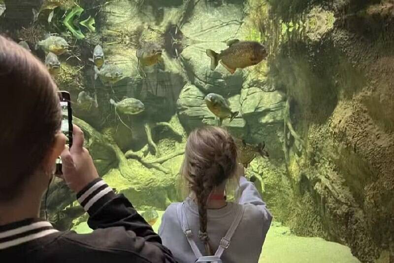 Moskvarium VDNKh aquarium