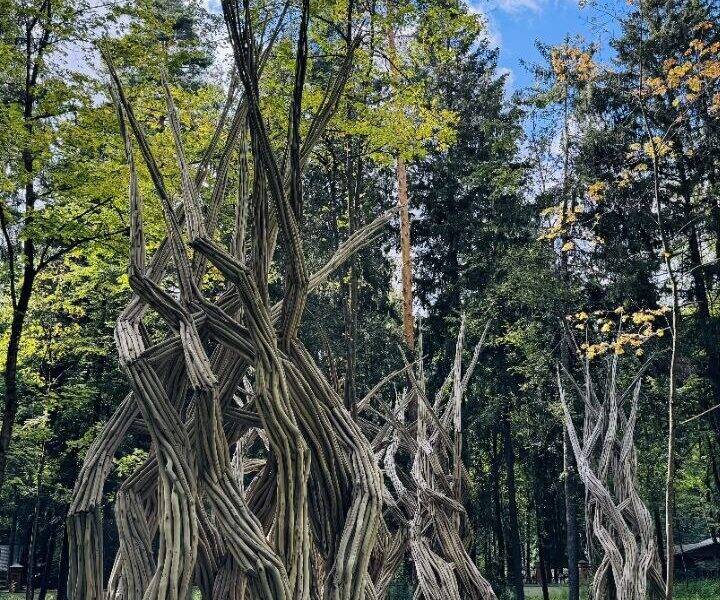 Переделкино. Экскурсия по Подмосковью для большого застройщика. Переделкино. Экскурсия по Подмосковью для крупного застройщика