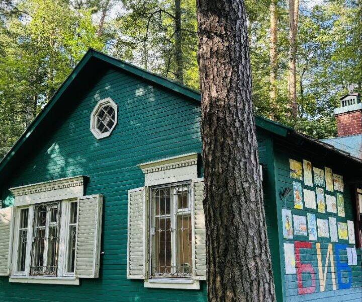 Для местных детишек Чуковский за свой счёт открыл библиотеку. Библиотека, которую Чуковский открыл для детишек местных за свой счëт