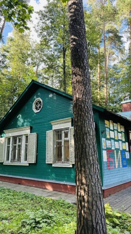 Для местных детишек Чуковский за свой счёт открыл библиотеку. Библиотека, которую Чуковский открыл для детишек местных за свой счëт