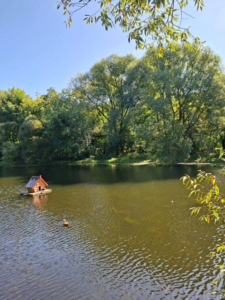 Пруд с домиком для водоплавающих птиц на маршруте по Москве