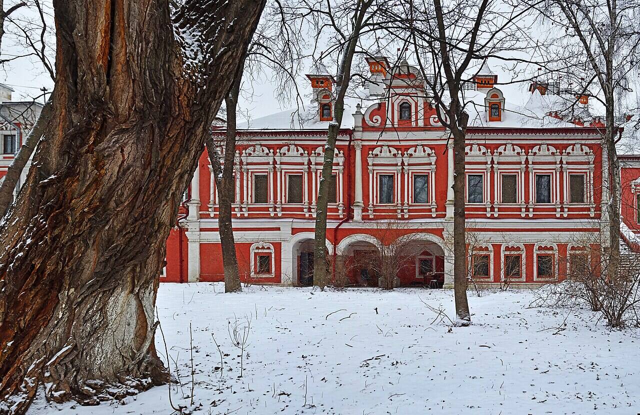 Красно-белый фасад палат Волковых — Юсуповых за деревьями в зимнем саду