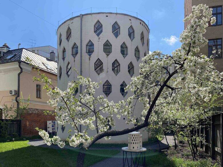 The curved wall of the Melnikov House with rows of hexagonal windows behind a flowering tree.