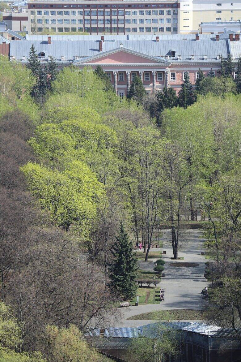 Trees and paths in Lefortovo Park, with part of Catherine Palace’s pink façade visible behind them.