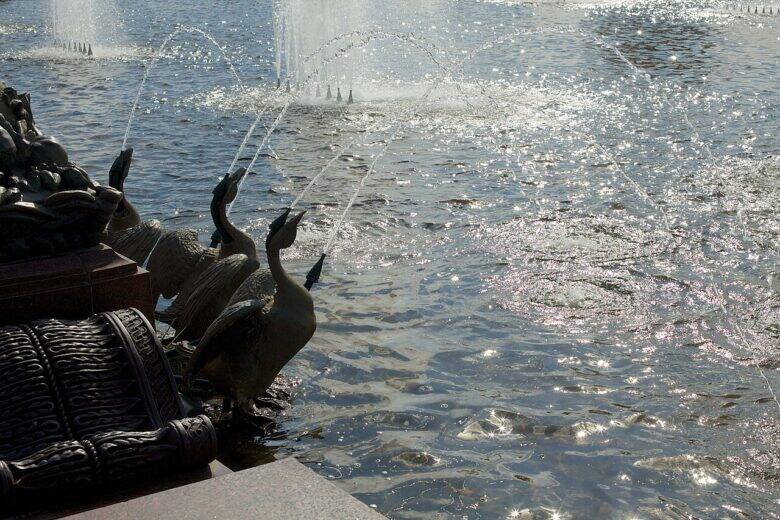 Several sculpted geese with raised necks at the edge of the pool, with water and fountain jets in the background.