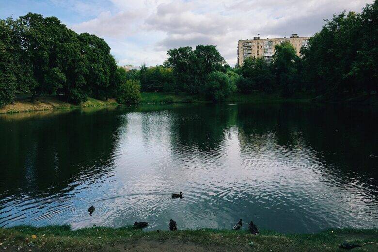 A pond in Lefortovo Park with birds near the bank; trees and a residential building are visible across the water.
