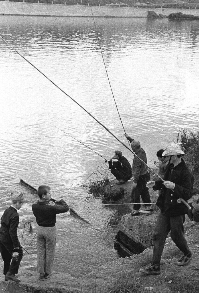 Несколько рыбаков с удочками стоят у берега пруда на чёрно-белой фотографии.